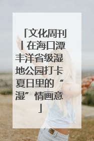 文化周刊丨在海口潭丰洋省级湿地公园打卡夏日里的“湿”情画意