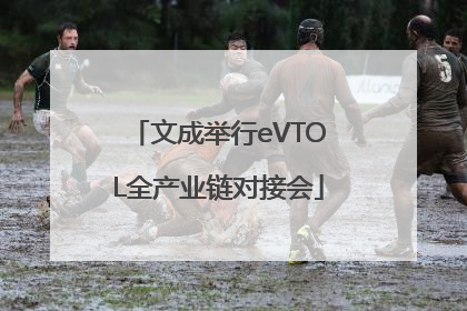 文成举行eVTOL全产业链对接会