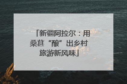 新疆阿拉尔：用桑葚“酿”出乡村旅游新风味