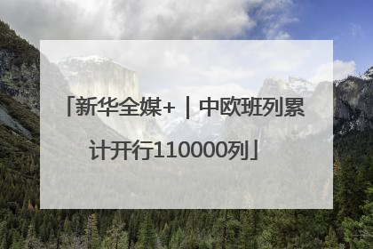 新华全媒+｜中欧班列累计开行110000列