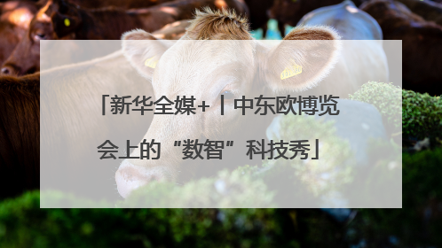 新华全媒+丨中东欧博览会上的“数智”科技秀