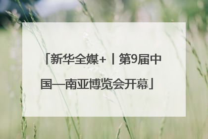 新华全媒+丨第9届中国—南亚博览会开幕