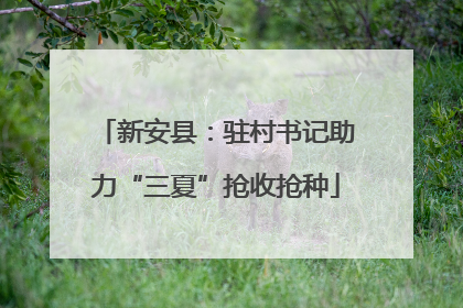 新安县：驻村书记助力“三夏”抢收抢种