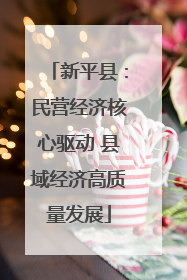 新平县：民营经济核心驱动 县域经济高质量发展
