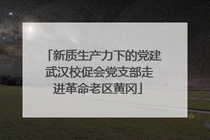 新质生产力下的党建 武汉校促会党支部走进革命老区黄冈