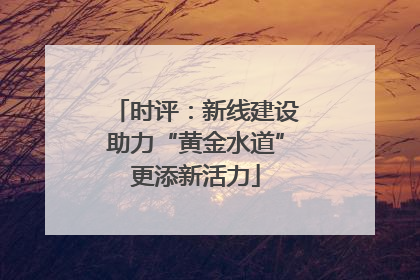 时评：新线建设助力“黄金水道”更添新活力