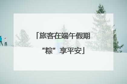 旅客在端午假期“粽”享平安