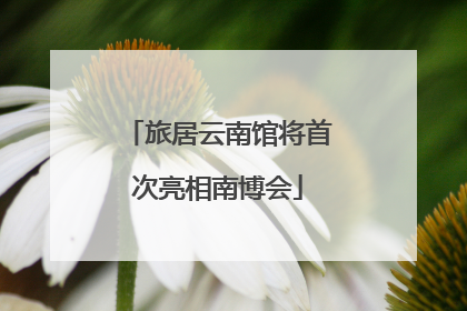 旅居云南馆将首次亮相南博会