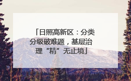 日照高新区：分类分级破难题，基层治理“精”无止境
