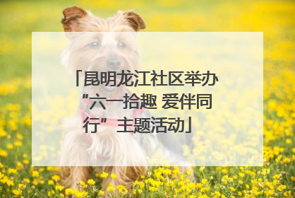 昆明龙江社区举办“六一拾趣 爱伴同行”主题活动