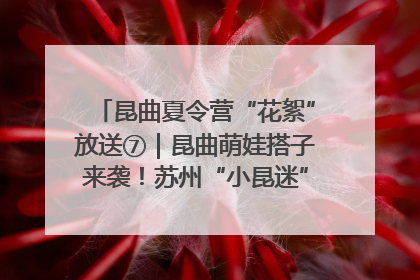 昆曲夏令营“花絮”放送⑦｜昆曲萌娃搭子来袭！苏州“小昆迷”姐弟期待同台演绎“姑苏水磨调”