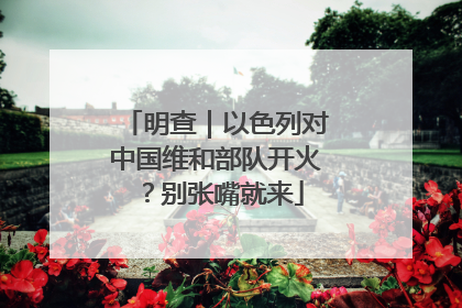 明查｜以色列对中国维和部队开火？别张嘴就来