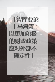 智库要论丨马海涛：以更加积极的财政政策应对外部不确定性