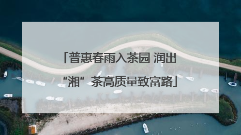 普惠春雨入茶园 润出“湘”茶高质量致富路