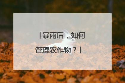 暴雨后，如何管理农作物？