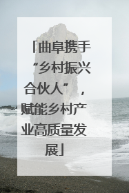 曲阜携手“乡村振兴合伙人”，赋能乡村产业高质量发展