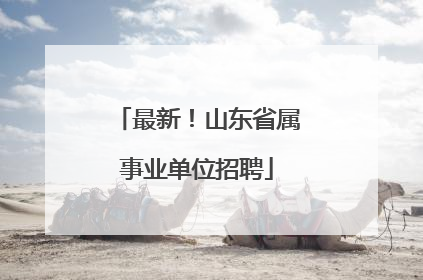 最新！山东省属事业单位招聘