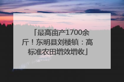 最高亩产1700余斤！东明县刘楼镇：高标准农田增效增收