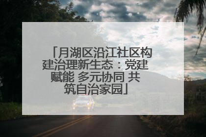月湖区沿江社区构建治理新生态：党建赋能 多元协同 共筑自治家园