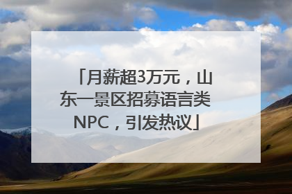 月薪超3万元，山东一景区招募语言类NPC，引发热议