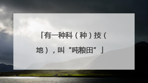 有一种科（种）技（地），叫“吨粮田”