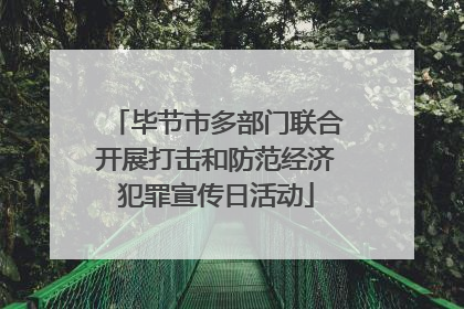 毕节市多部门联合开展打击和防范经济犯罪宣传日活动