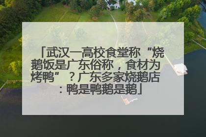 武汉一高校食堂称“烧鹅饭是广东俗称，食材为烤鸭”？广东多家烧鹅店：鸭是鸭鹅是鹅