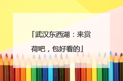 武汉东西湖：来赏荷吧，包好看的