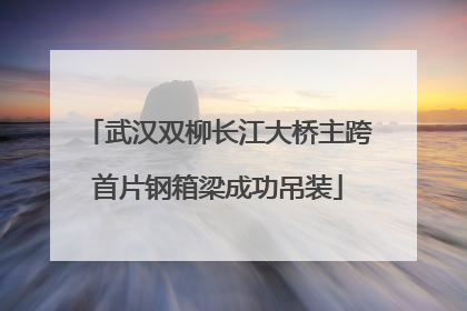 武汉双柳长江大桥主跨首片钢箱梁成功吊装