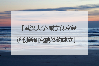 武汉大学·咸宁低空经济创新研究院签约成立