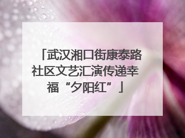 武汉湘口街康泰路社区文艺汇演传递幸福“夕阳红”
