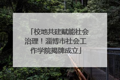 校地共建赋能社会治理！淄博市社会工作学院揭牌成立