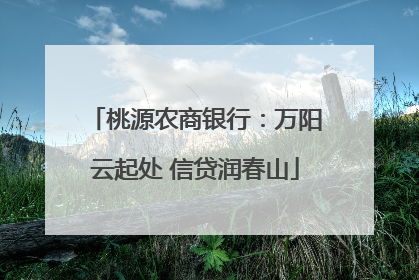 桃源农商银行：万阳云起处 信贷润春山