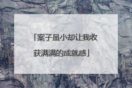 案子虽小却让我收获满满的成就感
