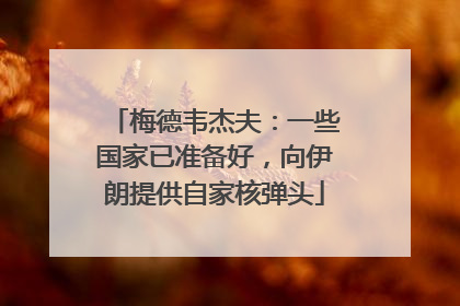 梅德韦杰夫：一些国家已准备好，向伊朗提供自家核弹头