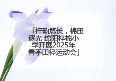 梓韵悠长，棉田逐光 绵阳梓棉小学开展2025年春季田径运动会