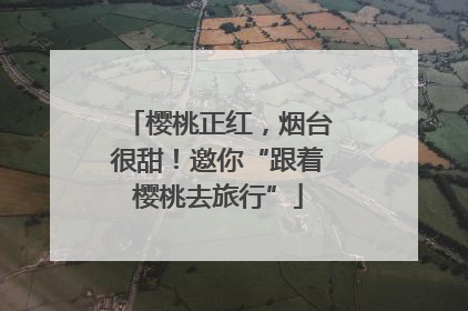 樱桃正红，烟台很甜！邀你“跟着樱桃去旅行”