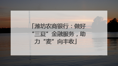 潍坊农商银行：做好“三夏”金融服务，助力“麦”向丰收