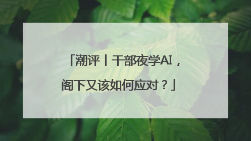 潮评丨干部夜学AI，阁下又该如何应对？