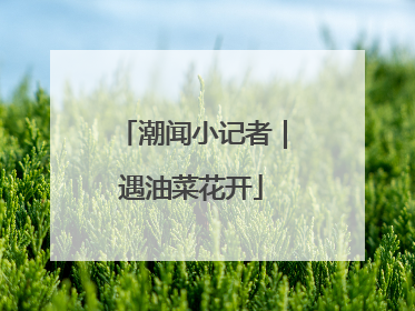 潮闻小记者｜遇油菜花开