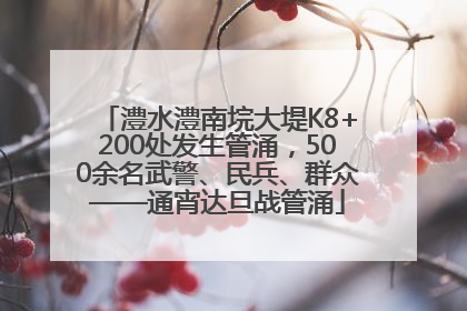 澧水澧南垸大堤K8+200处发生管涌，500余名武警、民兵、群众——通宵达旦战管涌