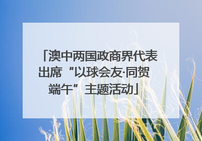 澳中两国政商界代表出席“以球会友·同贺端午”主题活动