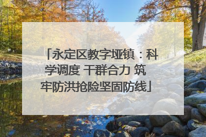 永定区教字垭镇：科学调度 干群合力 筑牢防洪抢险坚固防线