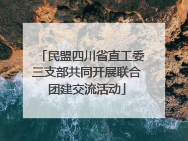 民盟四川省直工委三支部共同开展联合团建交流活动