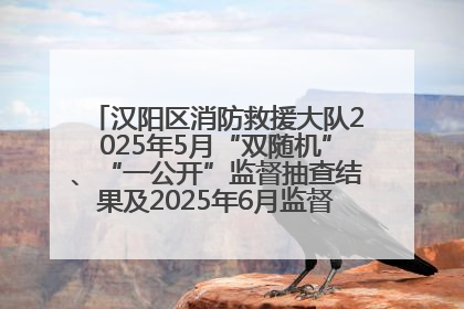 汉阳区消防救援大队2025年5月“双随机”、“一公开”监督抽查结果及2025年6月监督抽查任务公示