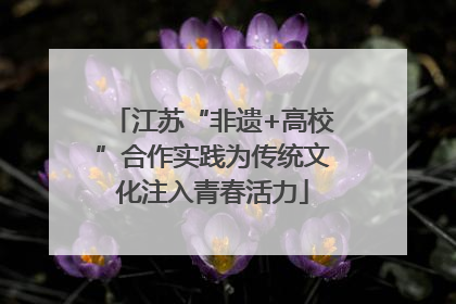 江苏“非遗+高校”合作实践为传统文化注入青春活力