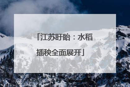 江苏盱眙：水稻插秧全面展开