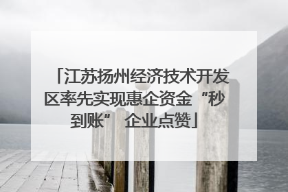 江苏扬州经济技术开发区率先实现惠企资金“秒到账” 企业点赞