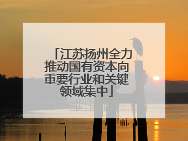 江苏扬州全力推动国有资本向重要行业和关键领域集中