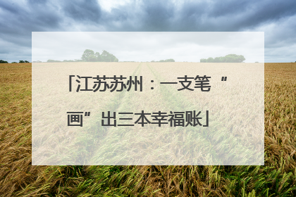 江苏苏州：一支笔“画”出三本幸福账